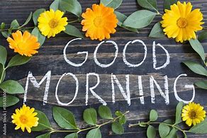 Image result for Good Morning Marigold Flowers