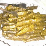 Image result for Dolma Lama