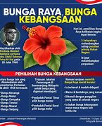 Image result for Bunga Air