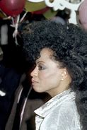 Image result for Diana Ross Side View