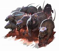 Image result for Dnd Rat Race