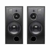 Image result for Active Speakers ATC 100