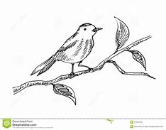 Image result for Bird On a Branch Drawing Easy