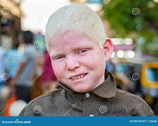 Image result for Albino Newfoundland