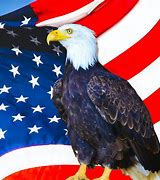 Image result for USGA Eagle