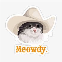 Image result for Sad Cowboy Cat Meme