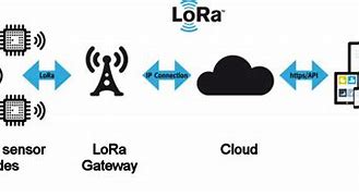 Image result for Lora Buttons