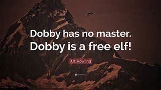 Image result for Dobby Has No Master