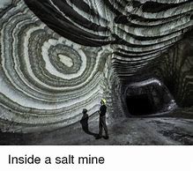 Image result for Salt Mine Meme