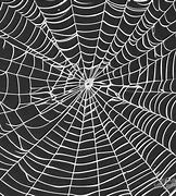 Image result for Spider Web Texture