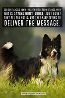 Image result for Dog Life Quotes