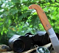 Image result for Survival TV Shows Reality