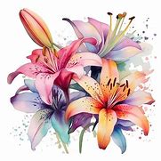 Image result for Lily Word Art