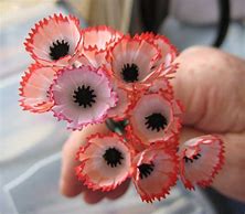 Image result for Penny Flowers