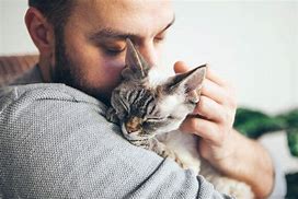 Image result for I Love Cats