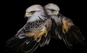 Image result for Birds of Prey Talons