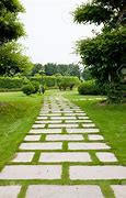 Image result for Paved Path Tree