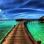 Image result for Amazing Wallpapers