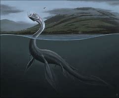 Image result for Nessy the Sea Monster