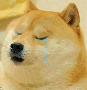 Image result for Doge Sad Mood