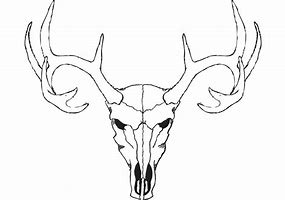 Image result for Tribal Deer Skull