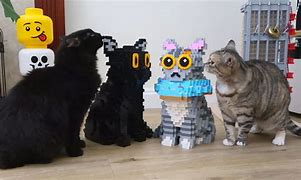 Image result for Lego Cat