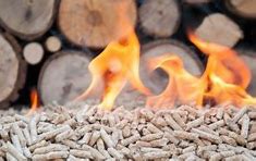 Image result for Picture of Biomass Energy Plant to Grid