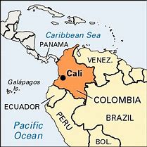 Image result for Cali Mapa