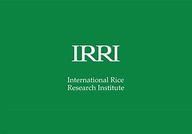 Image result for Irri Civ Logo