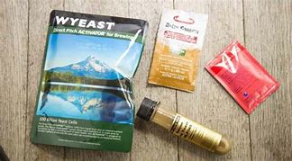 Image result for Yeast for Beer