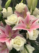 Image result for White Stargazer Lilies