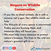 Image result for Wildlife Conservation Gifts