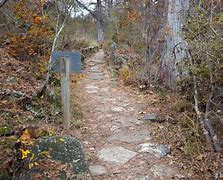 Image result for Hamilton Pool Preserve Hiking Trail Map