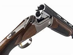 Image result for Best Affordable 12 Gauge Shotgun