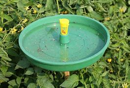 Image result for Fuel Water Trap