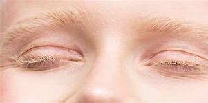 Image result for Light Brown Blonde Eyebrows