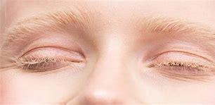 Image result for Light Eyebrows