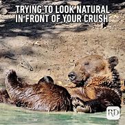 Image result for Funny Forest Animals Meme