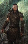 Image result for Dalish Elves