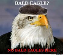 Image result for I'm an Eagle Meme