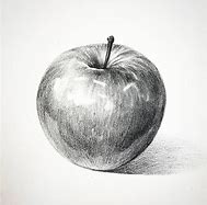 Image result for Apple Drawing Pencil Sketch