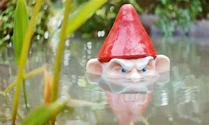 Image result for Garden Gnome Pictures