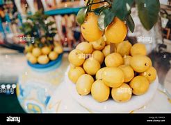 Image result for Drarf Lemon Tree in Pot