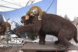 Image result for Ice Age Mammals