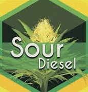 Image result for California Sour Diesel