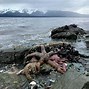 Image result for Alaska Coast Map