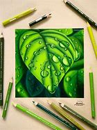 Image result for Realistic Leaf Clip Art