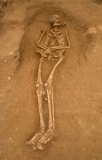 Image result for Nephilim Bones