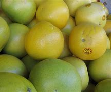 Image result for Different Kinds of Grapefruit