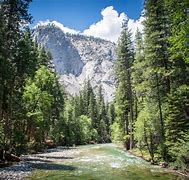 Image result for Sequoia Kings Canyon National Park